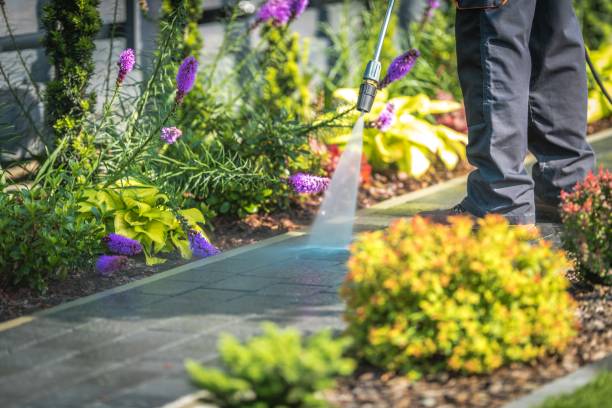 Best Animal Enclosure Cleaning  in Leon, IA